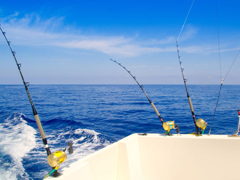 Reel in More Fish - Top Trolling Speeds Tips and Tricks